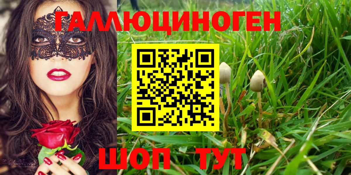 Псилоцибиновые грибы мицелий Дербент